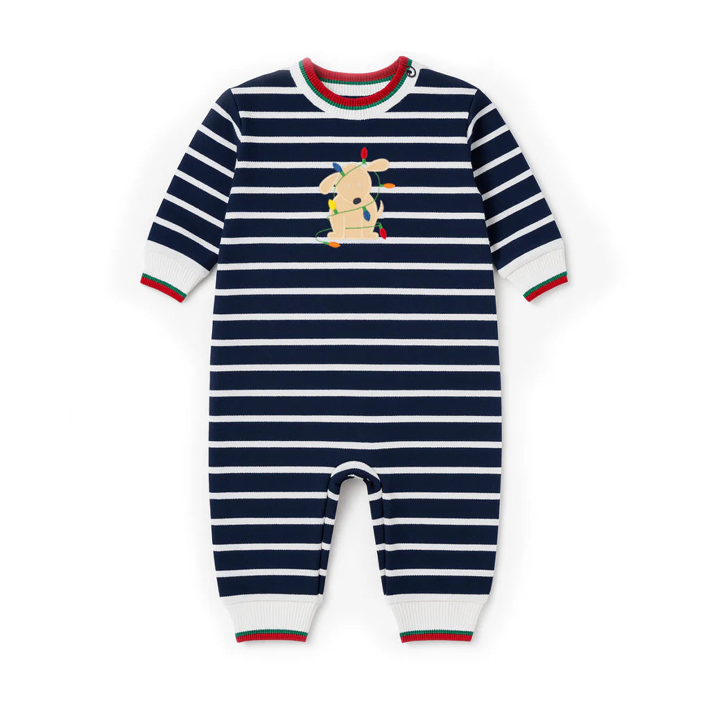 Stripe Knit Longall With Holiday Lights Dog