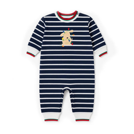 Stripe Knit Longall With Holiday Lights Dog